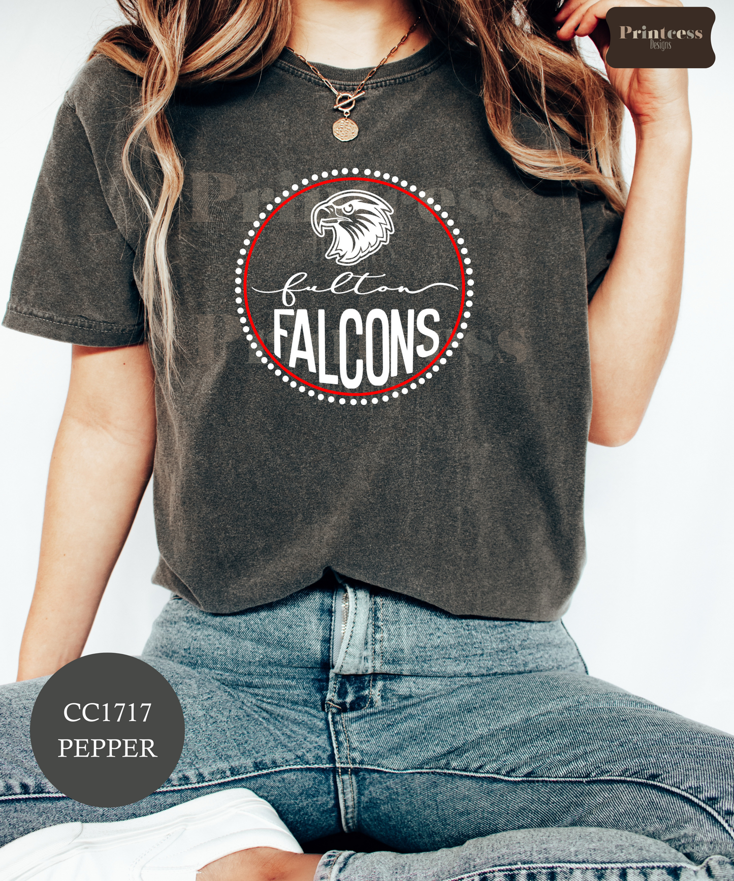 The Fulton School - Falcon Circle