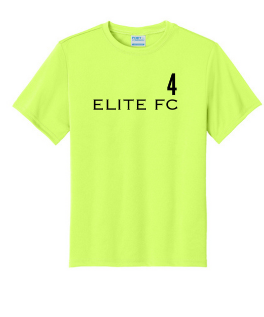 ELITE FC 4 Custom
